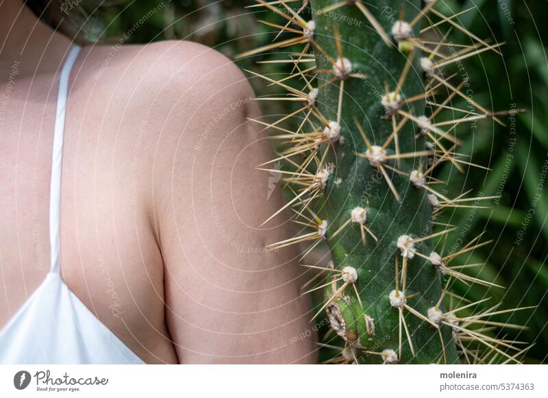 Person standing near cactus with big needles and pricking shoulder skin prickly pain succulent thorn person white hurt injury endurance trauma damage discomfort