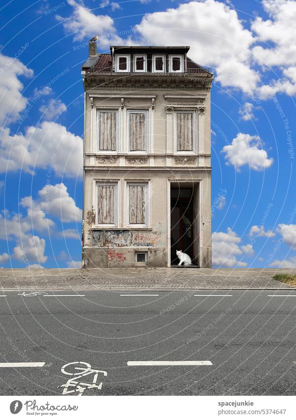Living in this house House (Residential Structure) unattached Street Old Sky Cat Bird Whimsical locked Loneliness Clouds Town Window Architecture Colour photo