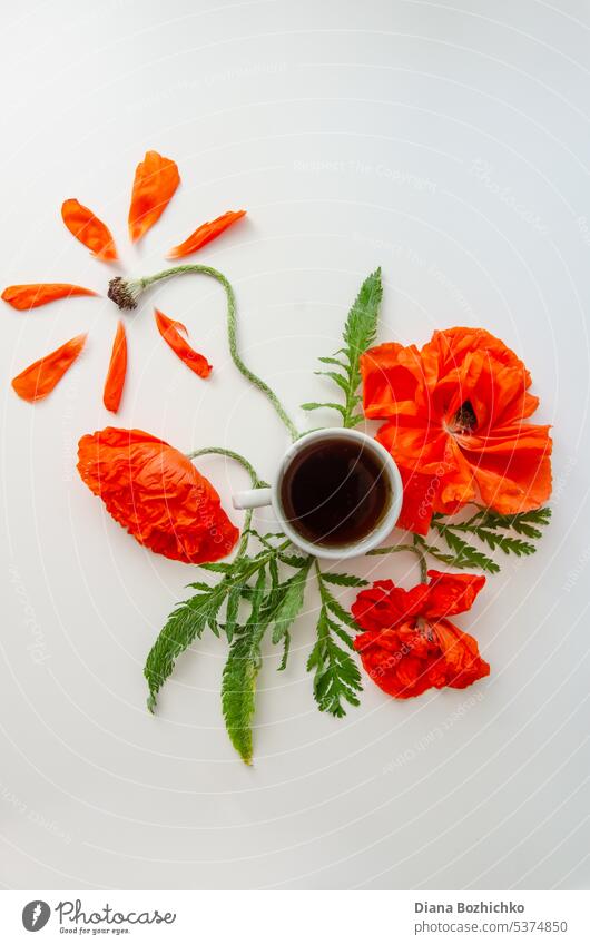 Cup of coffee and poppy flowers composition on a light gray background. aroma aromatic arrangement beautiful beverage blossom bright caffeine celebration