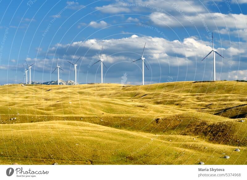 Power stations for renewable electric energy production. Windmills on sunny summer day. High wind turbines for generation electricity. Alternative energy