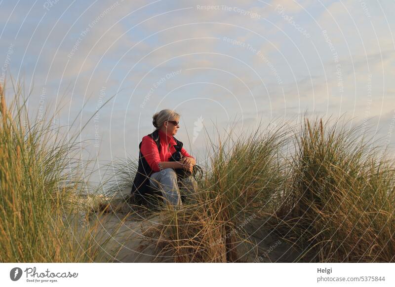 Señora sits in the dune grass in the evening sun and looks at the sea Woman Human being Senior citizen duene Marram grass Evening Evening sun Sunlight Sit