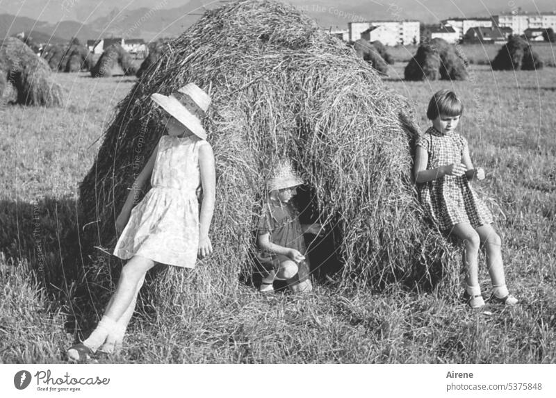 Haymakers and hay maidens children Girl Retro Hay harvest Dry black-and-white game Meadow Landscape Summer Rural Grass Farm Agriculture Straw Summer dress