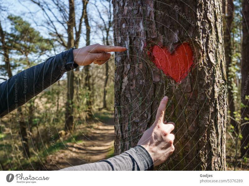 Two hands point to red carved heart in tree Fingers Heart Love Hand Friendship Emotions Colour photo Romance Sympathy To hold on Close-up Heart-shaped Happy