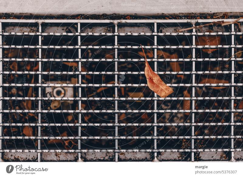 Water drain clogged leaves Grating Metal grid Autumn Drainage Subdued colour Pattern Leaf Deserted Detail Structures and shapes Drainpipe drain grids