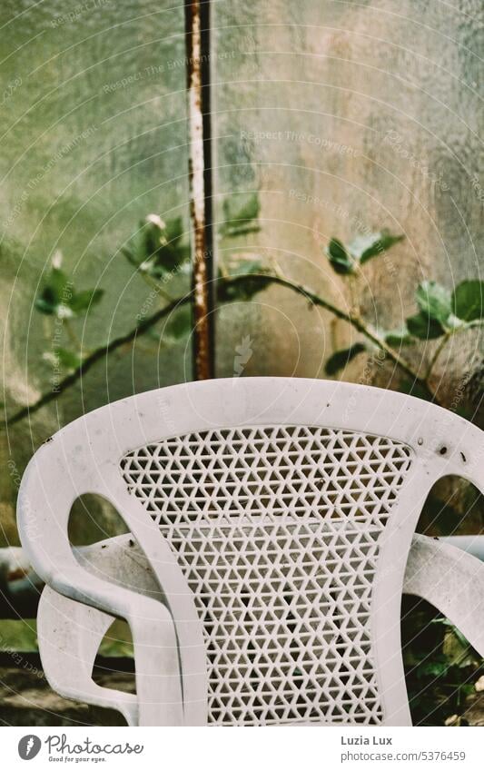 Old greenhouse... remaining old chairs Pane Glass Plant Nature Market garden Greenhouse do gardening Garden Light Bright Slice Mysterious Delicate Window pane