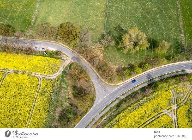 Blooming landscape with rape Landscape Agriculture Canola Canola field Bird's-eye view Oilseed rape cultivation Yellow Spring Agricultural crop Street