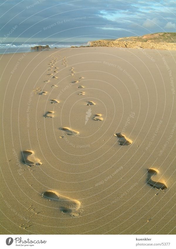 footprints Beach Footprint Ocean Feet Sand Water Barefoot