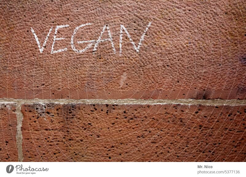 vegan Characters Wall (barrier) Vegan diet Graffiti Daub Healthy Food Healthy Eating Vegetarian diet Nutrition Organic produce house wall Wall (building)
