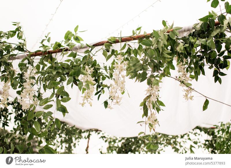 Outdoor wedding decorations of wisteria white flowers with greenery on a rod floral green leaves leaf white cloth string lights elegance elegant wedding day
