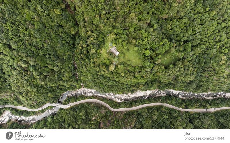 Ai Cürt from the bird's eye view Hut Ticino House (Residential Structure) Forest Dig Street Brook Steep Nature Exterior shot Colour photo Day Deserted Landscape
