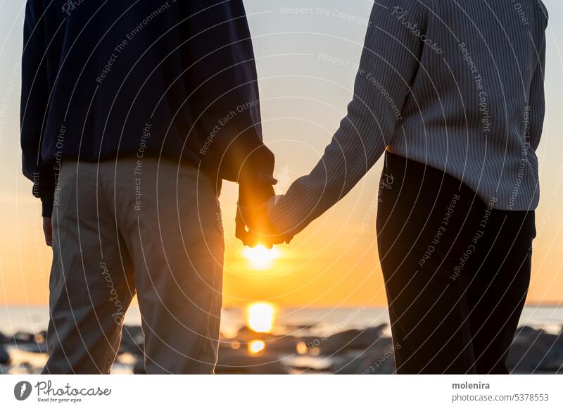 Two persons holding hands against sunset couple silhouette fingers interlacing love date blue sky partner sleeve two relation pair feelings back unrecognizable