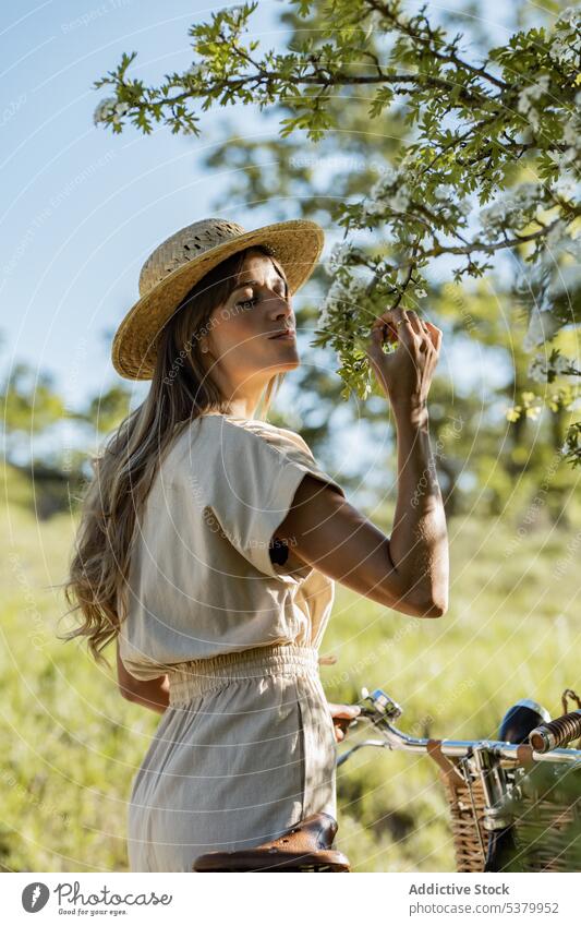Sensual woman smelling blossoming tree in countryside gentle enjoy scent bicycle fragrant nature female young weekend floral straw hat overall style harmony