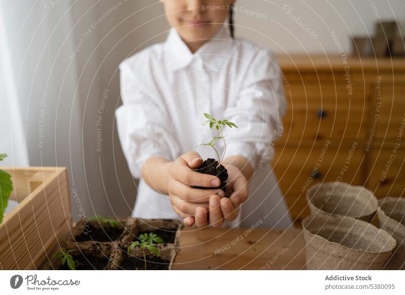 Cropped kid holding soil and sprouting green leaves plant child pot show gardener seeding leaf growth vegetate girl preteen hobby flora greenery childhood