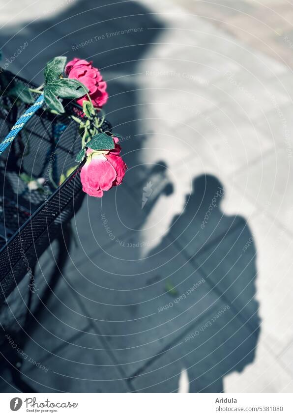 Artificial roses on bicycle basket and shadow on sidewalk slabs with photographer Bicycle Mobility Parking Cycling Town Wheel Road traffic Means of transport