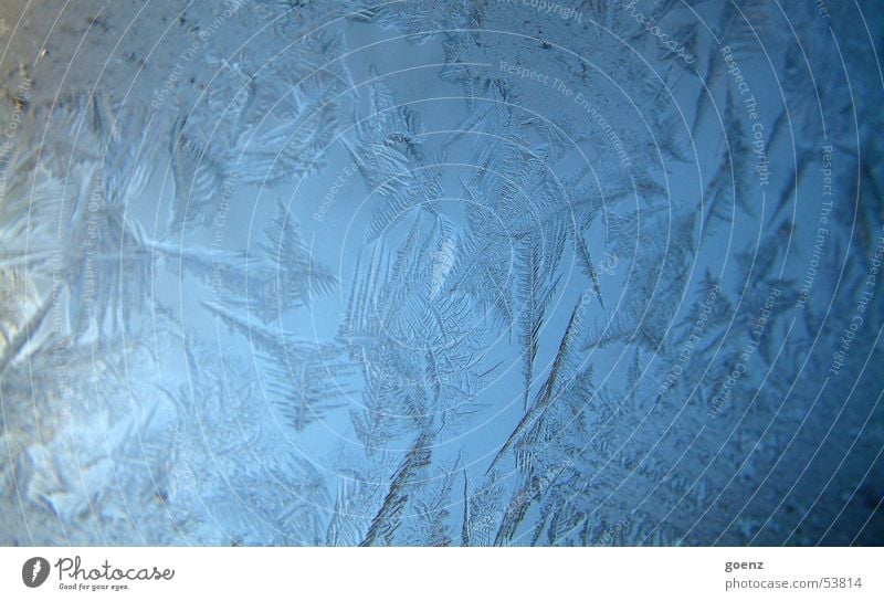Berlin is frozen over Ice crystal Frozen Freeze Frostwork Cold Winter Crystal structure Window pane Water Star (Symbol)