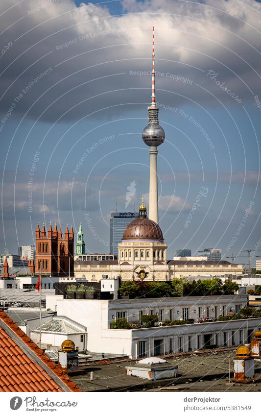A view over the rooftops of Berlin with the television tower metropolis Freedom City Berlin center Panorama (View) Sunbeam urban Beautiful weather City life