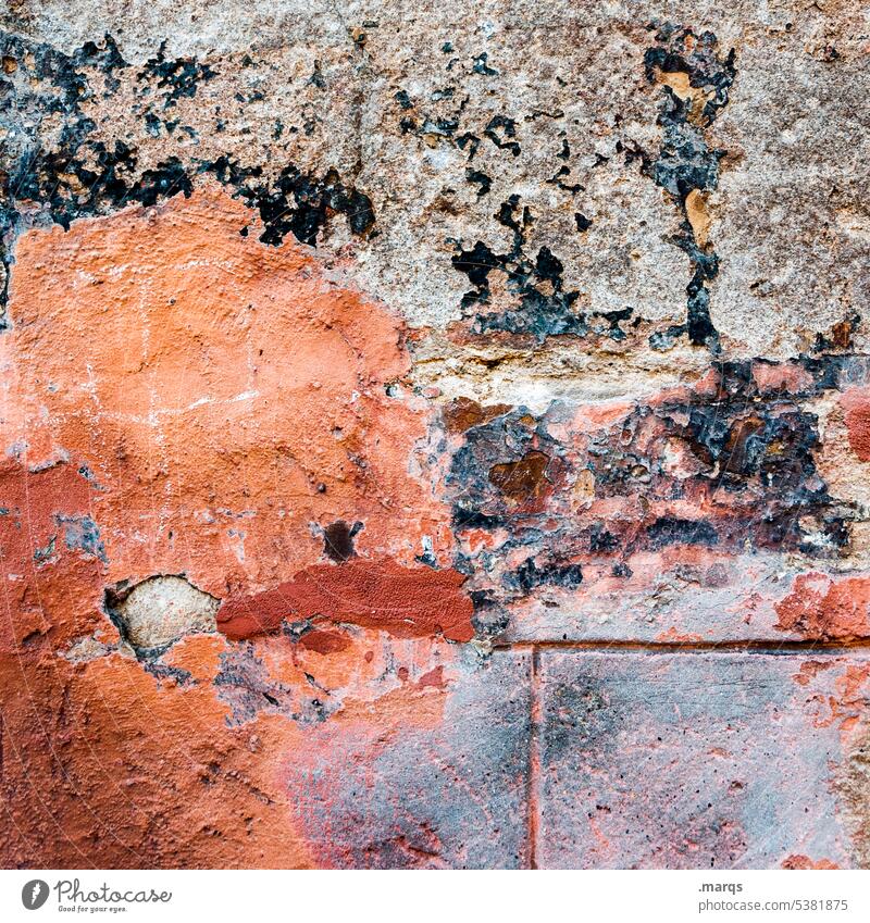 wall Close-up Wall (barrier) Wall (building) Old Colour Plaster Facade Decline Broken Weathered Flake off worn-out dilapidated Desolate Abrasion remnants Orange