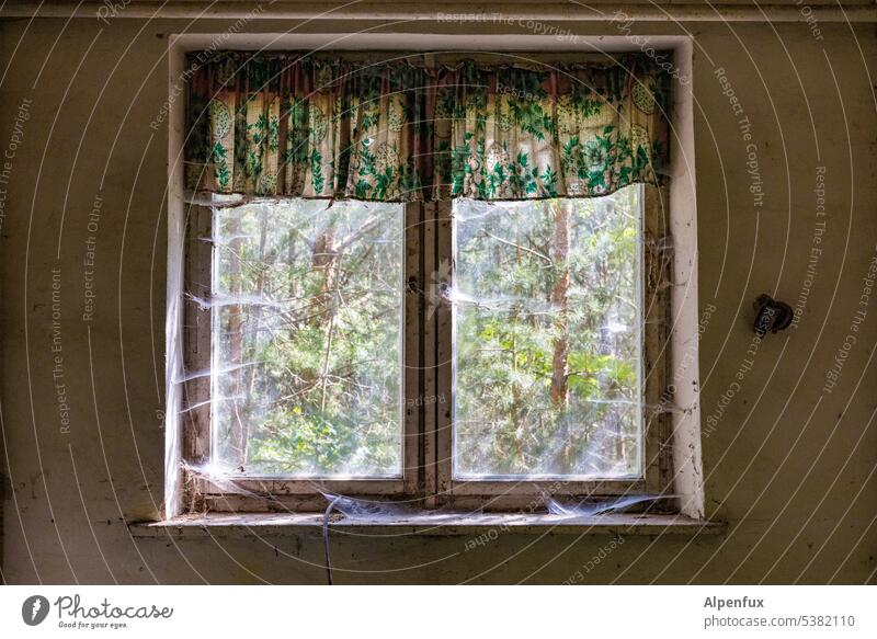 View of the Green | Lost Land Love II Window cobwebs Deserted Spider's web curtains Living or residing Old Ravages of time Transience Derelict Decline