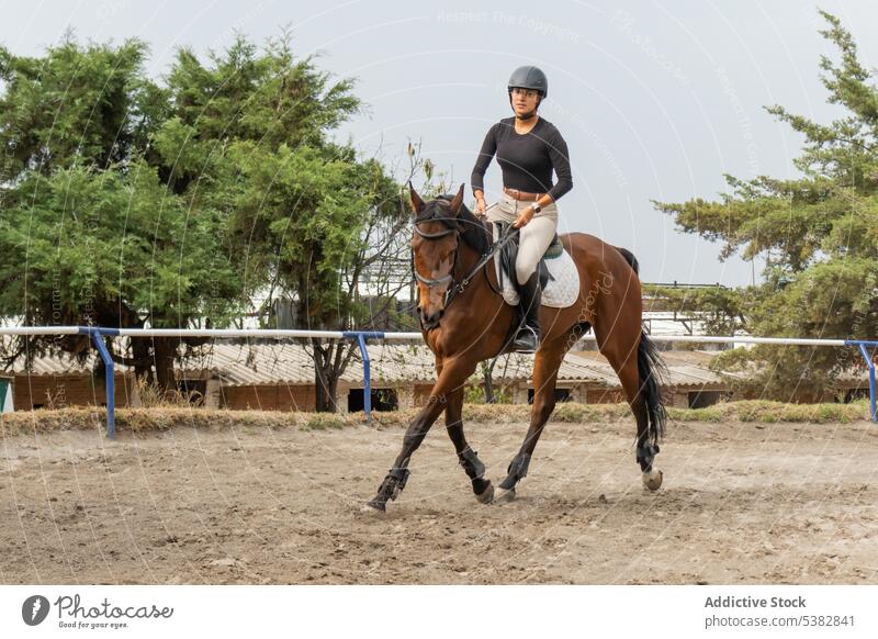 Young woman riding horse on paddock chestnut equestrian horseback ride training sport countryside rider cloudy ranch bridle equine animal sky young female