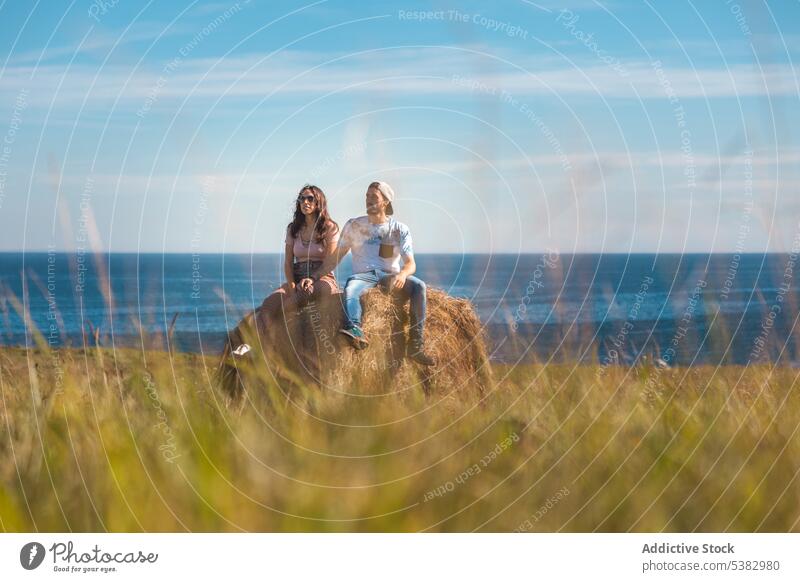 Couple sitting on pile of hay resting in meadow against blue sk couple date love romantic together seashore relationship ocean field seaside seascape blue sky