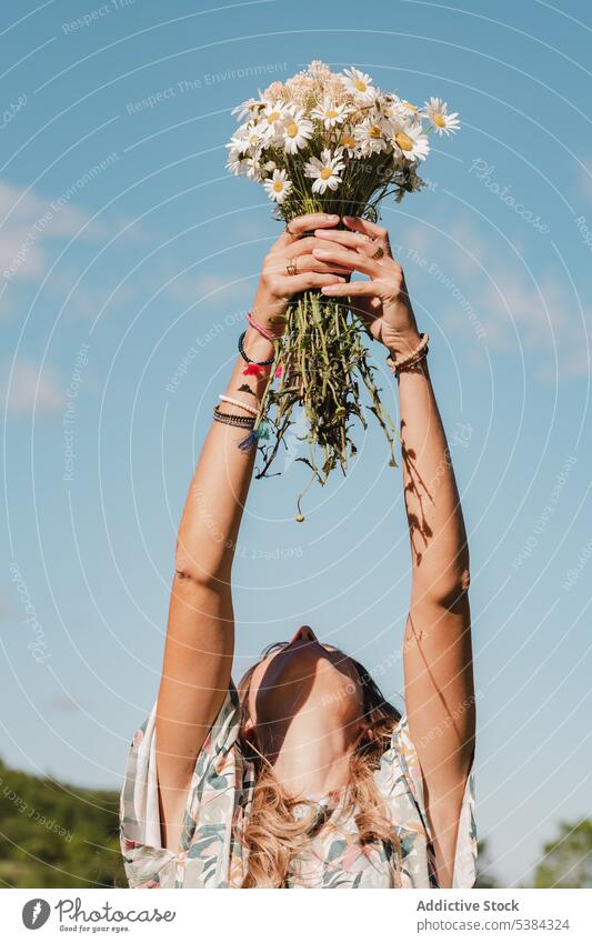 Anonymous woman with chamomiles in hands daisy flower bouquet bunch spring bloom summer vacation female wildflower blossom fresh field nature green white floral