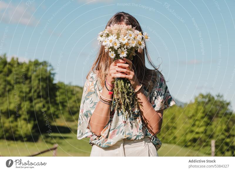Woman with bunch of chamomiles woman daisy flower bouquet summer hide bloom field female wildflower blossom fresh nature green meadow grass lawn white floral