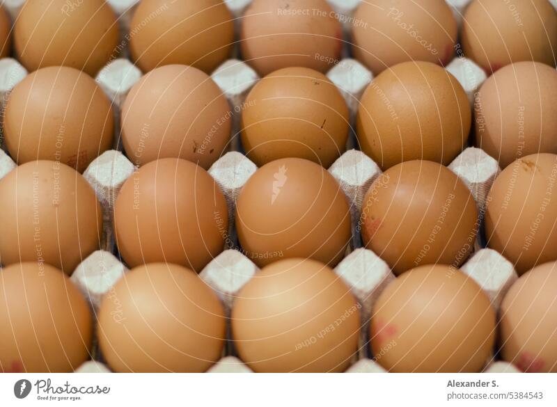 Eggs in egg carton eggs Eggs cardboard Food Hen's egg