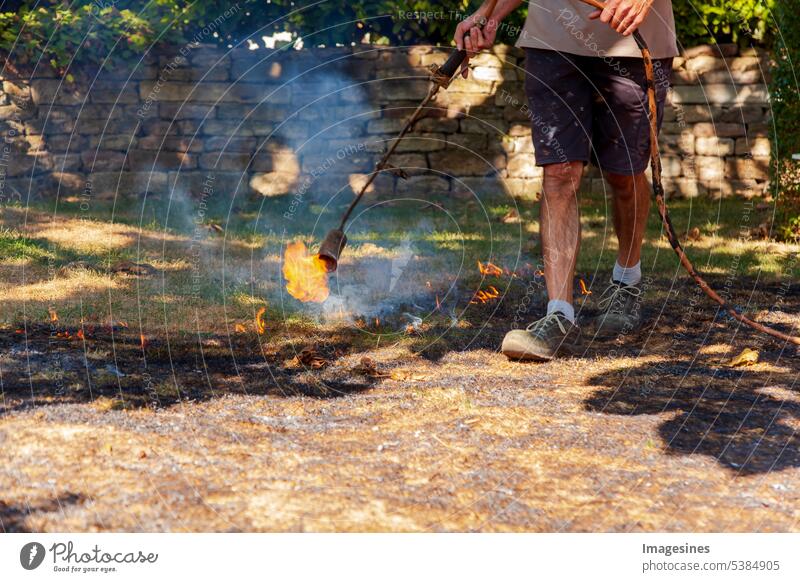Burning lawn. Man destroying dry dead grass with weed burner, garden gas burner. Fire spreads quickly through dry grass in garden, close up. Forest fire danger