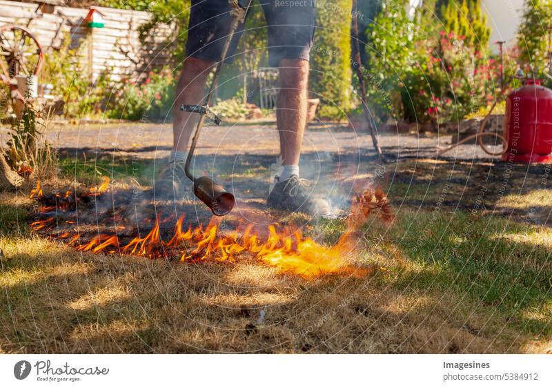Burning lawn. Man destroying dry dead grass with weed burner, garden gas burner. Fire spreads quickly through dry grass in garden, close up. Forest fire danger
