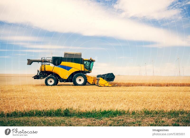 Grain harvest. Combine harvester in operation on wheat field. Harvesting process. Agricultural machinery Deployment Wheatfield Process agricultural field
