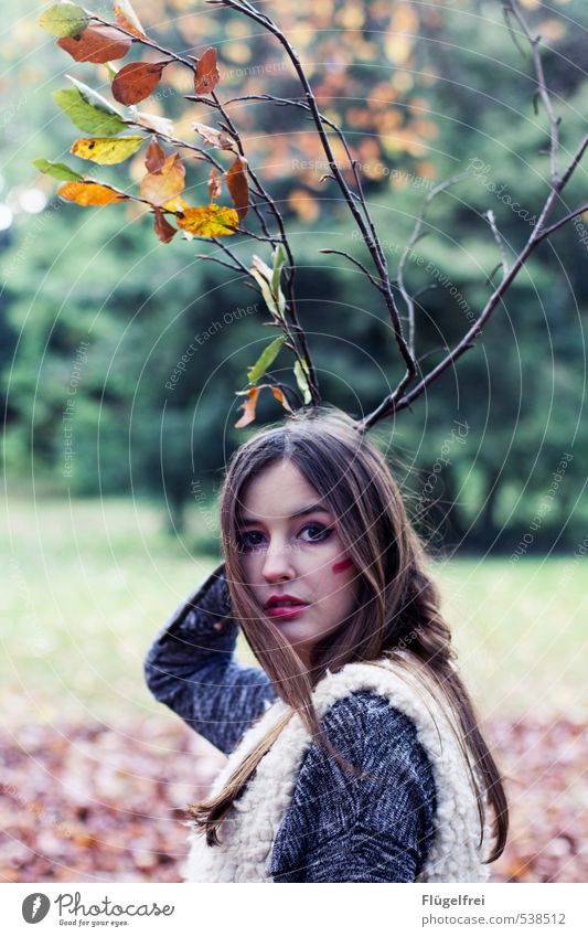 leaf antlers Feminine Young woman Youth (Young adults) 1 Human being 18 - 30 years Adults Observe Antlers Forest Deer Pelt Autumn Branch Twig Animal