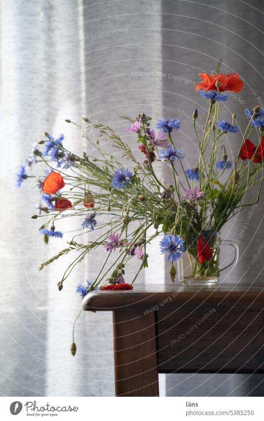 Vase with cornflowers and corn poppy Still Life Corn poppy poppies Table Curtain Flower Decoration Bouquet Poppy Interior shot Blossom Blossoming Deserted