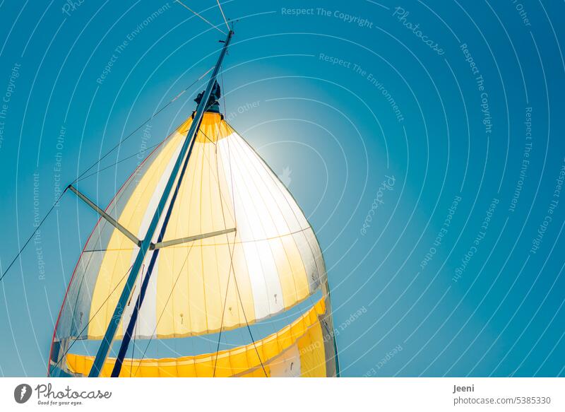 Sunshine and the sail in the wind Sailing Blue Sky Adventure Freedom Vacation & Travel Ocean Sailboat Summer Lake Wind Pole Far-off places Relaxation