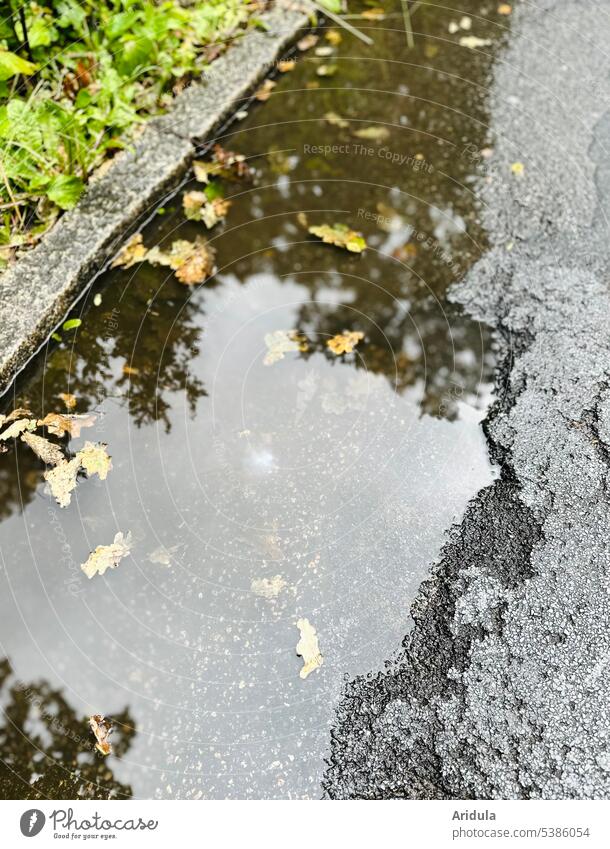 Autumn harbinger | puddle in asphalt hole with oak leaves, tree reflection, some greenery and curb Puddle Curbside Asphalt Street road damages Pothole