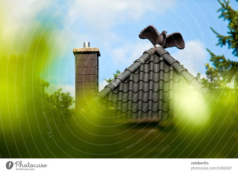 Bird on the roof House (Residential Structure) Roof Pointed roof raven Crow Stone decoration Decoration brick Roofing tile Chimney chimney Depth of field Hedge