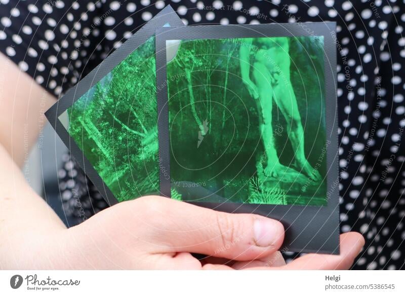 Mainfux-UT | hand holding two Polaroid photos, depicted is a nude statue and a garden in distorted green color Hand Image Statue Garden Photo from photo