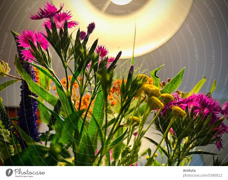 Frog perspective | summer flowers under dining table lamp Summer Lamp Lampshade Light variegated colourful Bouquet Back-light Decoration Flower Interior shot