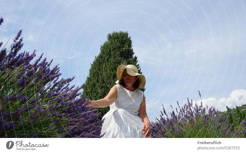 Woman with white dress and sun hat in flowering lavender field Lavender Landscape Sky Field Nature purple Provence Green half shrub Hill beguiling Fragrance