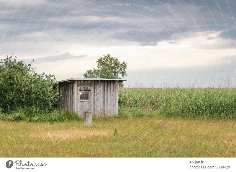 small wooden hut on the edge of a field with meadow Hut Wooden hut Small refuge wildlife observation Field Meadow Sky Clouds Deserted Landscape Nature