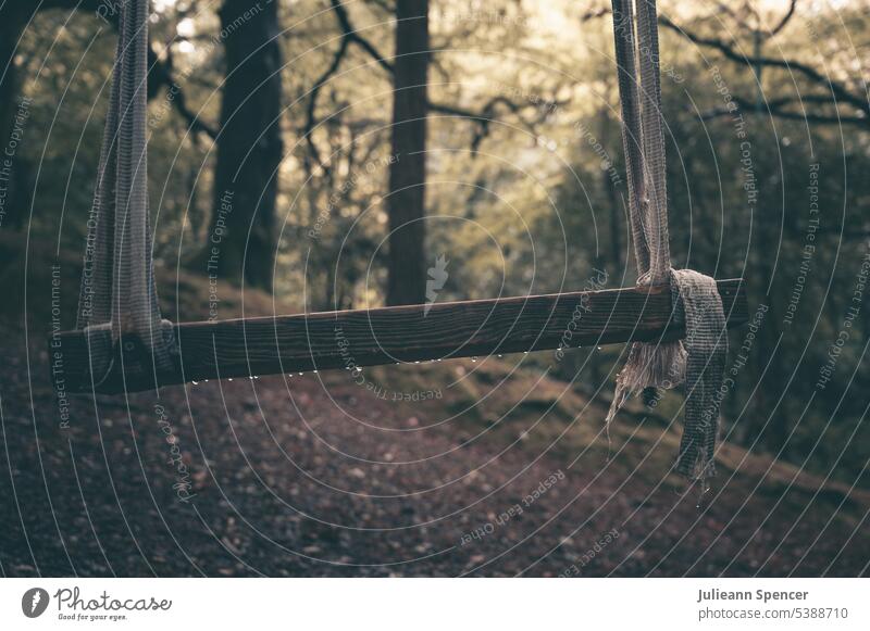 Old wooden swing seat old forest tied up antique rustic vintage Swing Playing Exterior shot Deserted To swing
