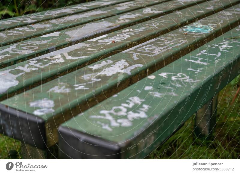 Vandalised green picnic table vandalised Picnic bench Graffiti abandoned Deserted Green Colour photo Exterior shot Close-up rustic