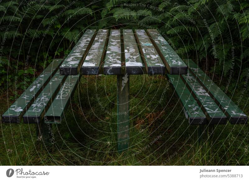Metal picnic table with graffiti Graffiti Abandoned green abused old abandoned Deserted Old Destruction Damage