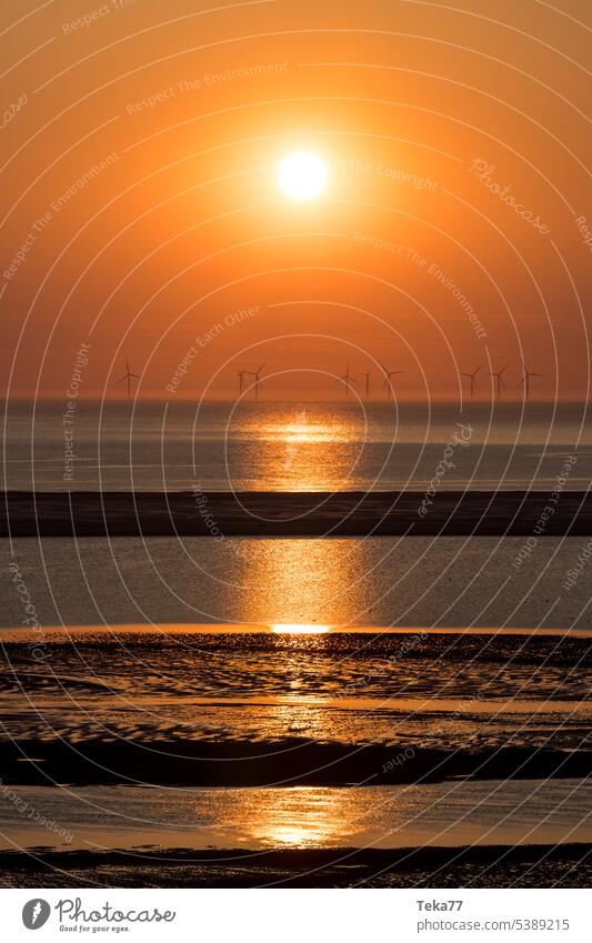 Perpendicular to the sea Ocean perpendicular Sunset North Sea Borkum Waves salt water