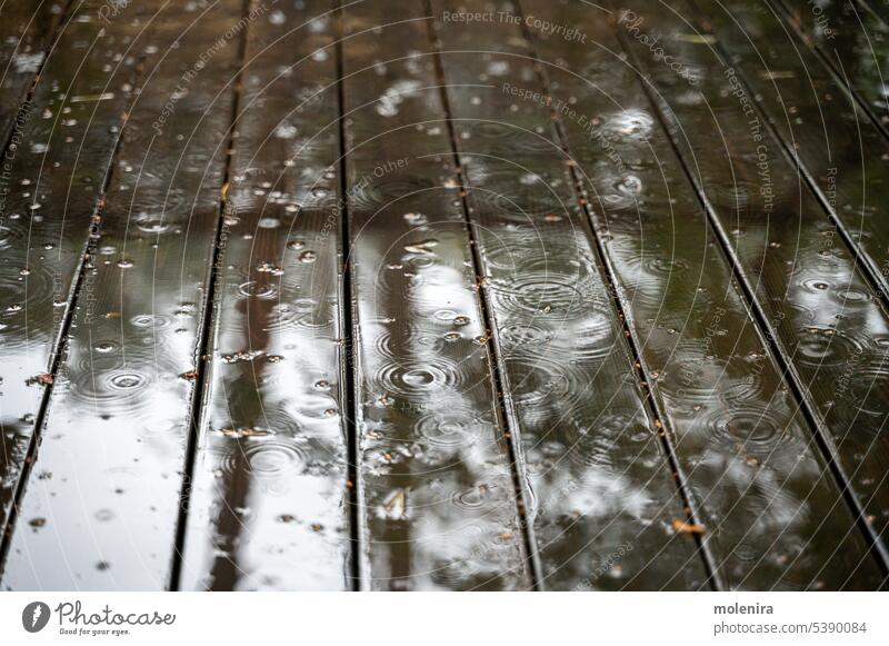 Rain drops on wet wooden floor of patio rain house deck outside water backyard raindrop terrace outdoor