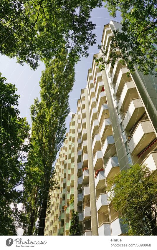 modern new building - apartment block framed by several trees from frog perspective block of flats Apartment Building Apartment house dwell Worm's-eye view