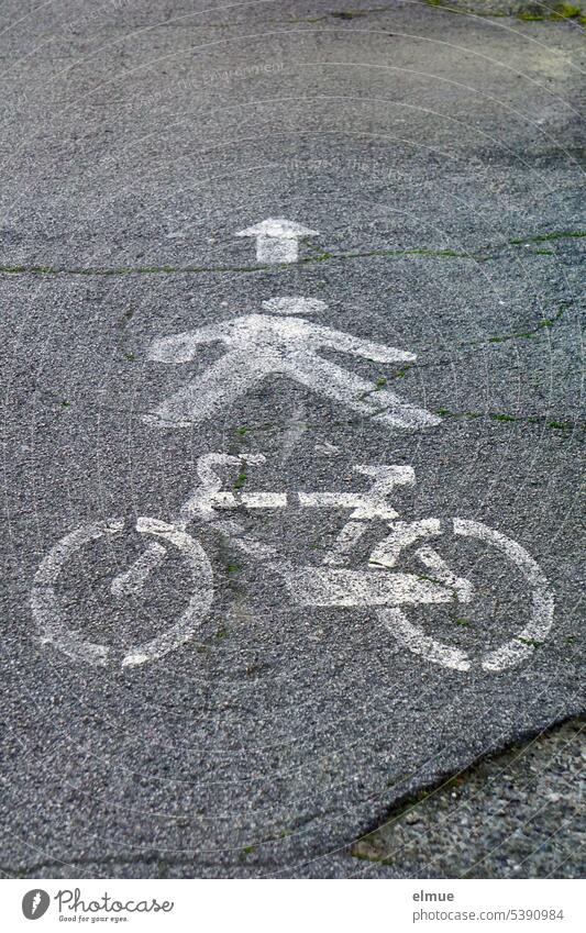 an arrow and pictograms of a pedestrian and a bicycle on an asphalt path / acrobatics cycle path Footpath Pictogram Cycling Walking Pedestrian Acrobatics