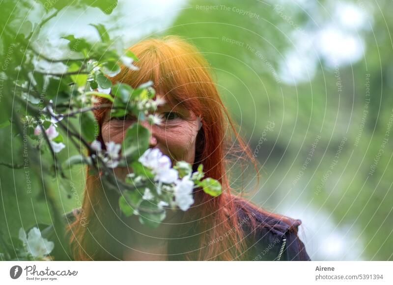 game of hide-and-seek Blossom Apple blossom Woman sniff floral scent Twig Congenial Garden Delicate Emanation flowering branches twigs Fiery White Tree Positive