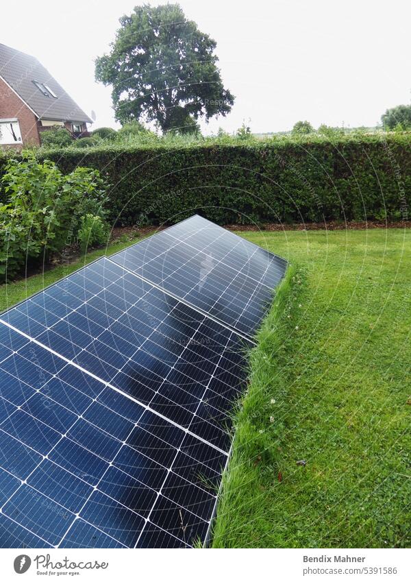 A lush garden blooms under the radiant sun as solar panels harness its energy, intertwining nature's beauty and sustainable power in perfect harmony. solar farm