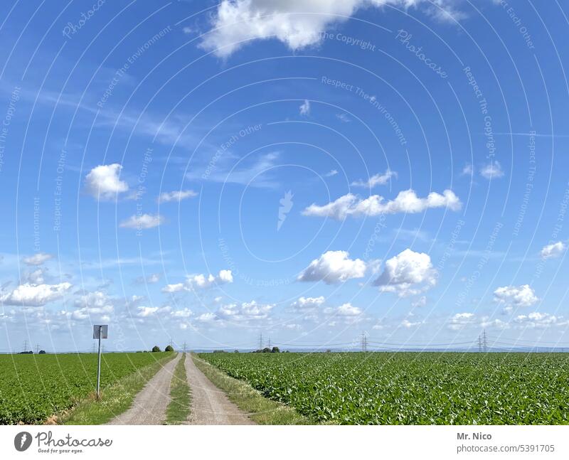dirt road Blue sky Sky Clouds Field Horizon Agriculture off the beaten track Landscape Lanes & trails Green Weather Summer Environment Signs and labeling