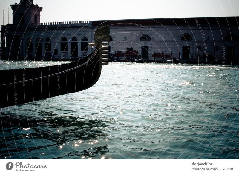 A boat trip in Venice on the Grand Canal, with a gondola. Gondola (Boat) Exterior shot Old town Italy Water Tourist Attraction Boating trip Colour photo